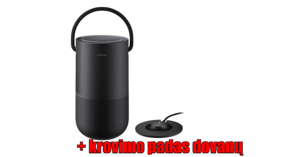 portable home speaker bose